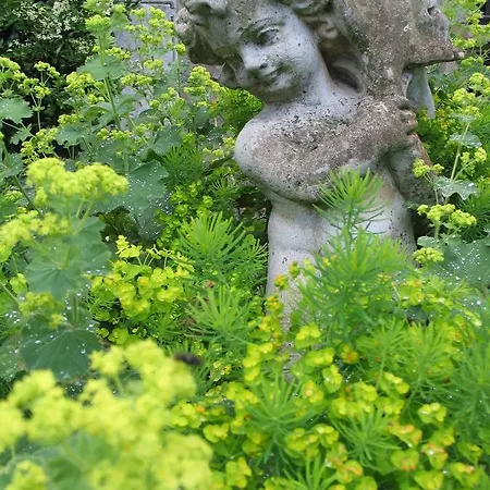 Bed and breakfast Low Hall Country House *